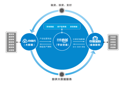 农业项目快速推广策略 教育咨询驱动的创新路径