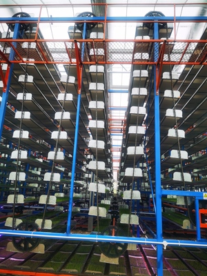 机械化助力贵州水稻生产，技术推广服务赋能现代农业