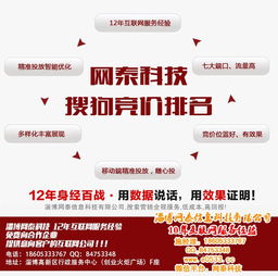 临淄与淄博推广新策略 预存5000元，淄博网泰科技开启教育咨询新篇章