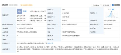 罗永浩官宣新创业公司Thin Red Line，目标AR行业教育咨询